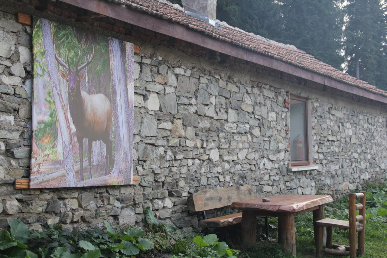 Malka Yurta Hut Vila Panichishte Exterior foto